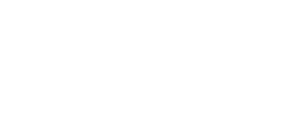 Brandripe partner - Baskin Robbin