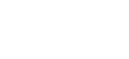 Brandripe partner - Bonuslink